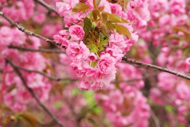 嘉兴秀洲区线下个人借款平台一站式服务，轻松解决资金难题