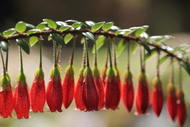 嘉兴秀洲区零用贷短借：轻松解决临时资金需求
