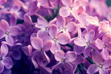 嘉兴秀洲区企业急用钱贷款攻略：快速融资解燃眉之急